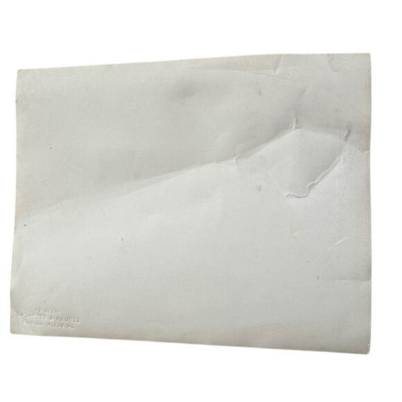 VTG Holiday Christmas Original Photo Tree Tinsel Santa Dolls Du Quoin Illinois - Picture 7 of 12